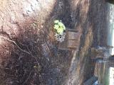 image of grave number 760077